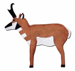 BUSHBOW 3D ONCORE SERIES 2D TARGETS Images-Photos